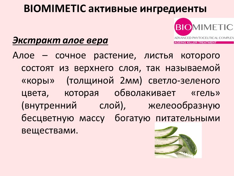 Экстракт алое вера Алое – сочное растение, листья которого состоят из верхнего слоя, так